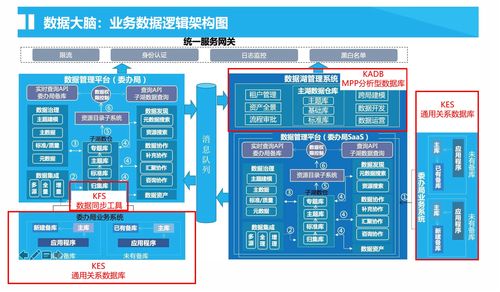 金仓产品组合拳 以分布式、集中式与异构迁移之力，打造高效政务数据大脑